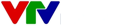 VTV Nam Bo